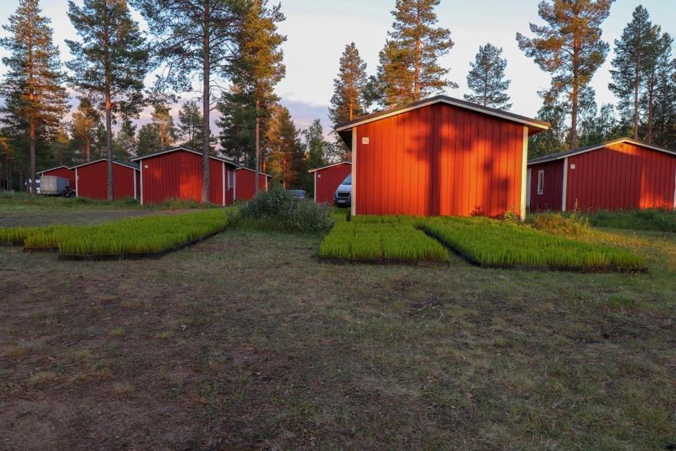 Pajala Cottages Route 99 Luaran gambar
